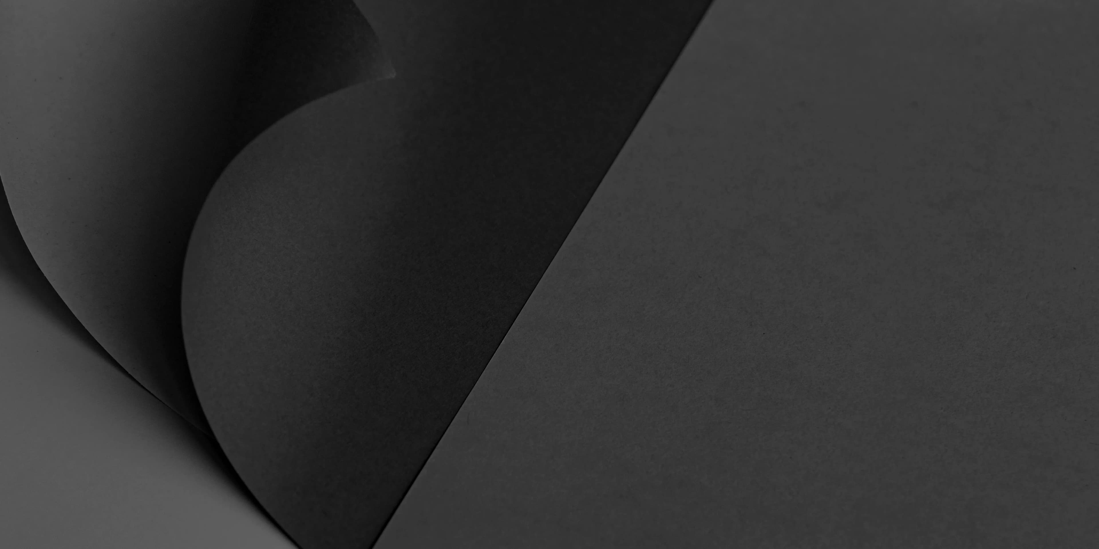 paraprint desktop background version two